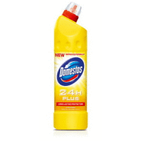 Domestos 750ML Citrus Fresh