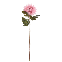 Detail - Chryzantéma 73cm, mix farieb, ks Chryzantéma 73cm, mix farieb, ks