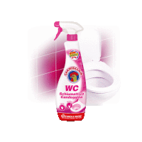 Aktívna pena bieliaca na WC 625ml CHANTE CLAIR