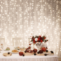 LED svetelný záves 2x2m / 400 LED WW