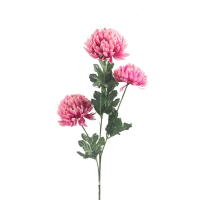 Detail - Chryzantéma trs 3x kvet mix farieb 68cm Chryzantéma trs 3x kvet mix farieb 68cm