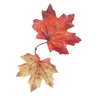 Detail - List jeseň 15cm dekorácia List jeseň 15cm dekorácia