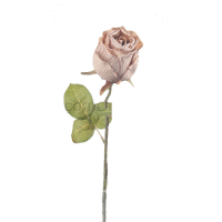 Detail - Ruža ks 51cm Ruža ks 51cm