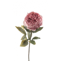 Detail - Ruža ks 57 cm mix farieb Ruža ks 57 cm mix farieb