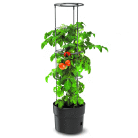 Kvetináč na paradajky TOMATO GROWER 28L