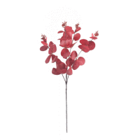 Detail - Eukalyptus trs 61cm Eukalyptus trs 61cm