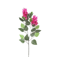 Detail - Orgován x2/ks 71cm Orgován x2/ks 71cm