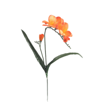 Detail - Frézia satén 50cm ks Frézia satén 50cm ks