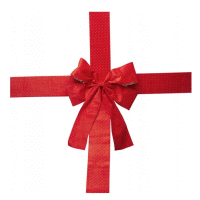 Mašľa na dvere 33x42cm RED